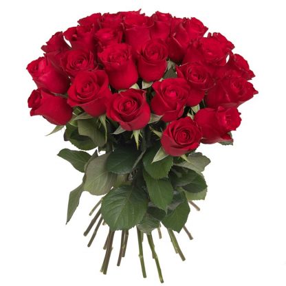 21 Red roses