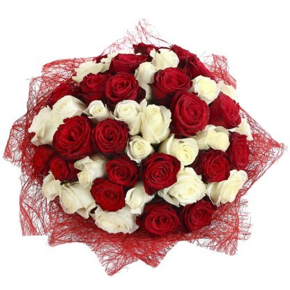 White and red Roses